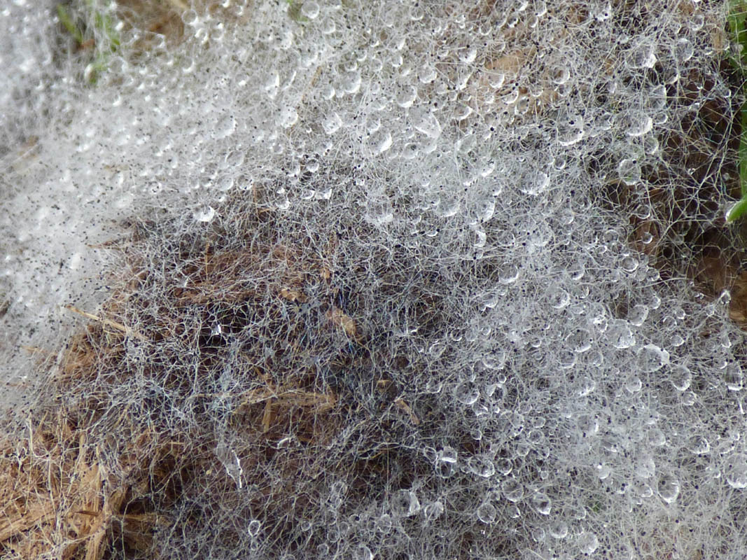 Joli voyage incongru